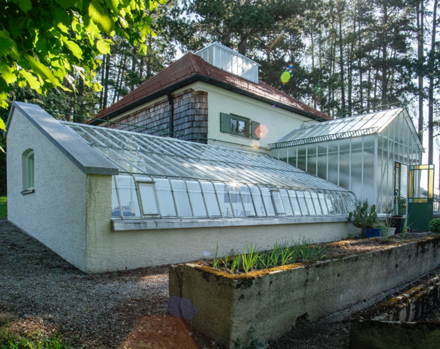 Das Palmenhaus im Garten der Villa mit Bäumen im Hintergrund