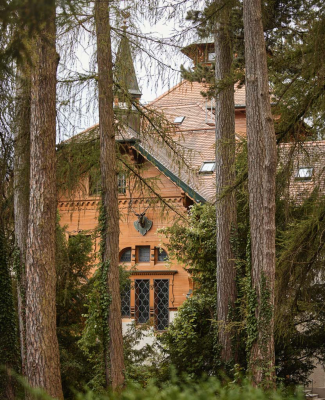 Villa Waldberta, built in 1901, with old conifers in the foreground